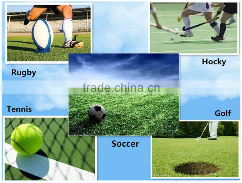 8800D/6F Stem/Spine PE Straight Artificial Grass Yarn for Football/Soccer