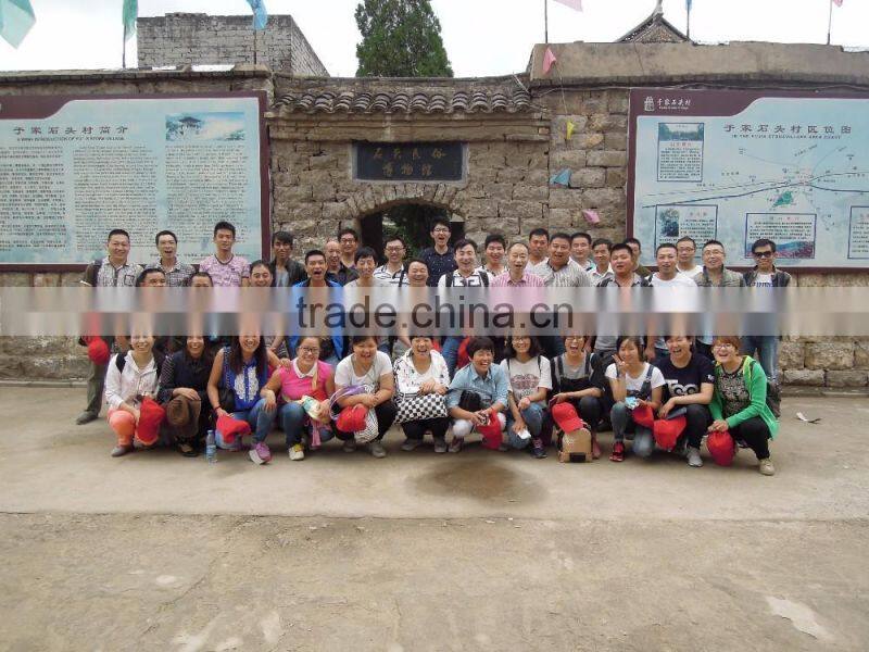 Best Selling Extruded Aluminium Profiles Cheap Glazed Glass Curtain Wall Price