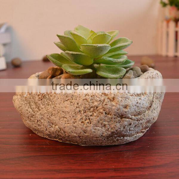 Succulent plant small indoor stone flowerpot