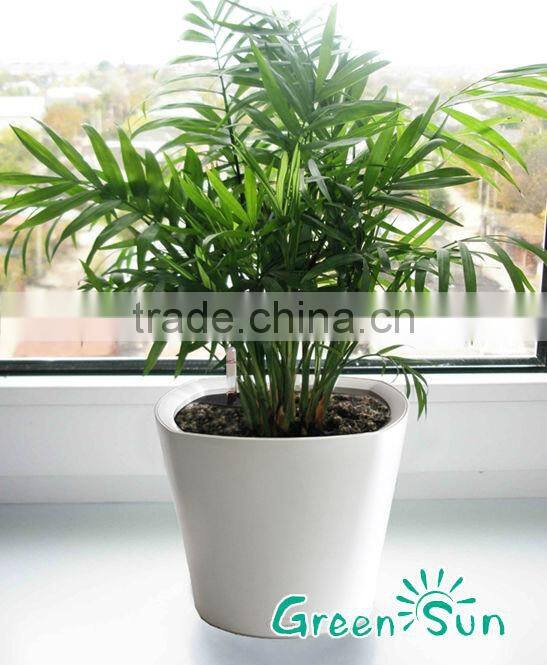 2015 cheap pot for self watering products looking for distributor