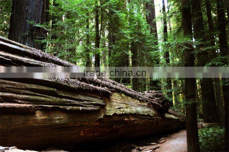 New antique solid wood bathroom cabinet