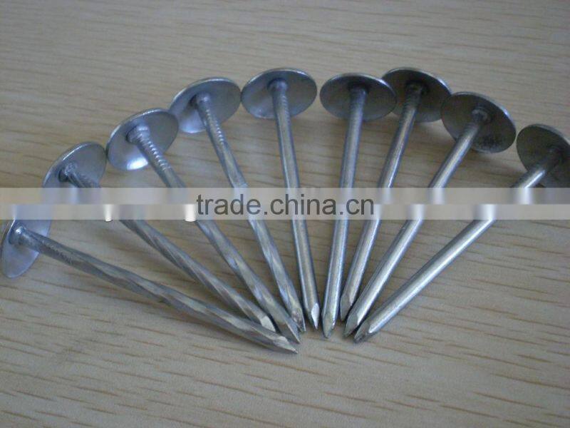 galvanized roofing nails with umbreall head