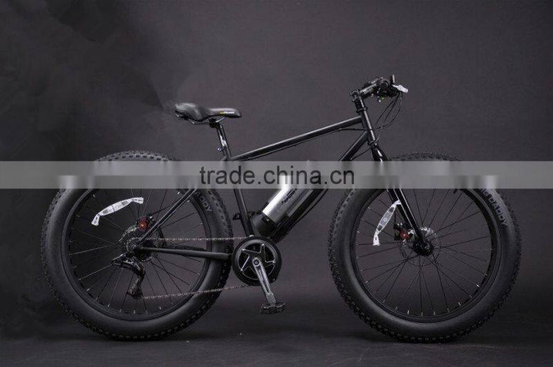 Electric fat bike