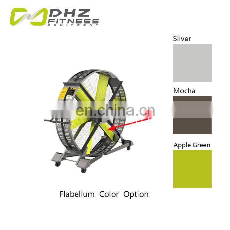 Dhz New Design Power Saving Summer Popular Cheap Fan For Gym Fitness Center