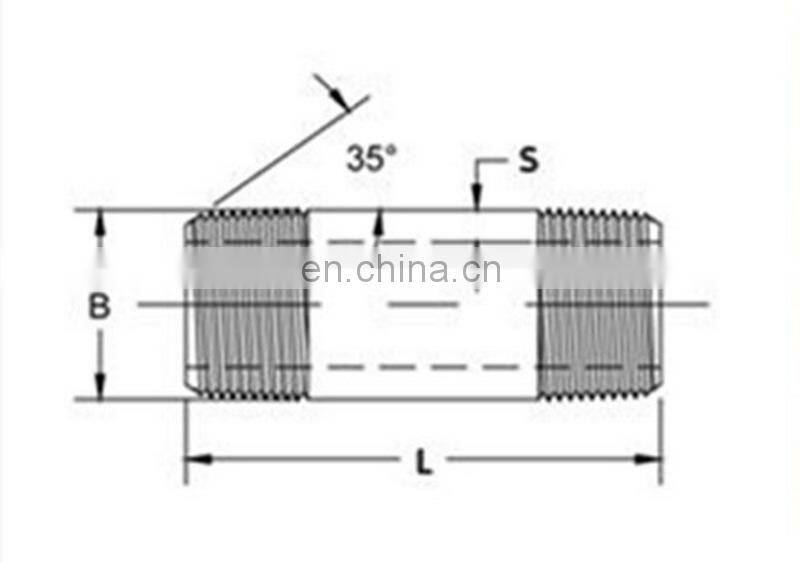 Delicate Aarance Factory Price Direct Supply En10241 Pipe Nipple