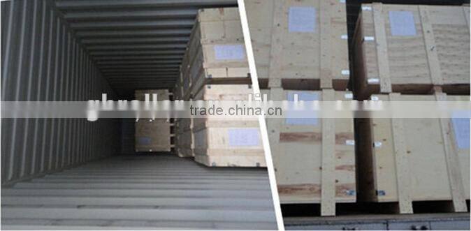 conveyor roller bearing housing and labyrinth seals for DTll6204