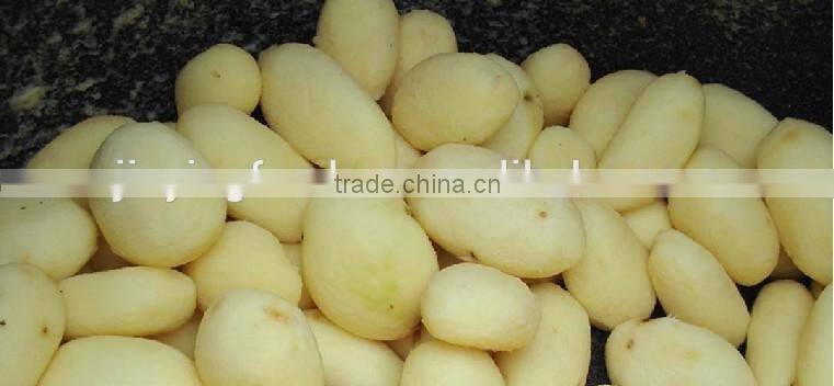 potato peeling processing equipment