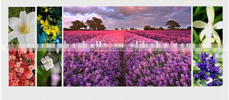 Top Thick Fragrance Car Perfume & Car Air Freshener