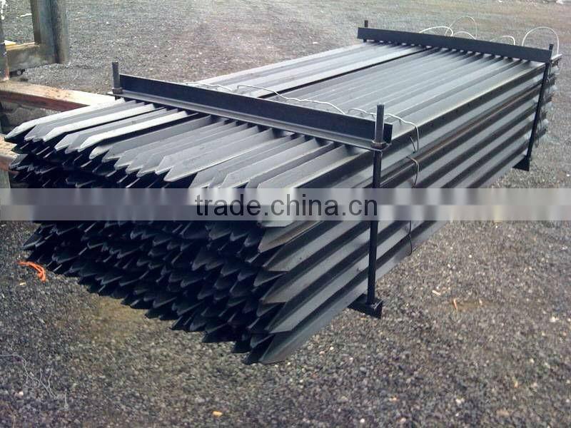 Black painted Australia star picket