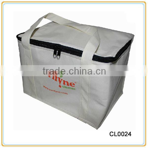 New Style Promotion Nonwoven Lunch Cooler Bag For Picnic