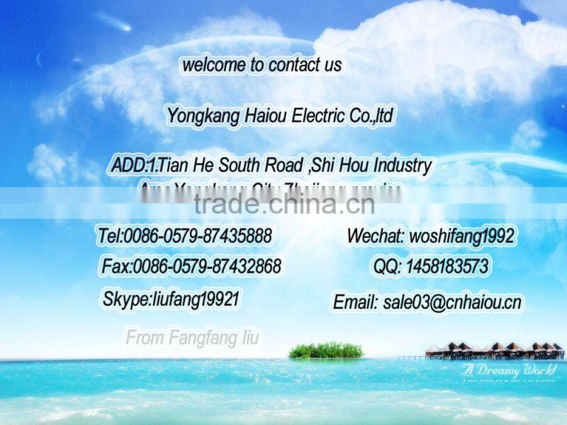 DZM-200B Electric high quality best price new design pasta maker