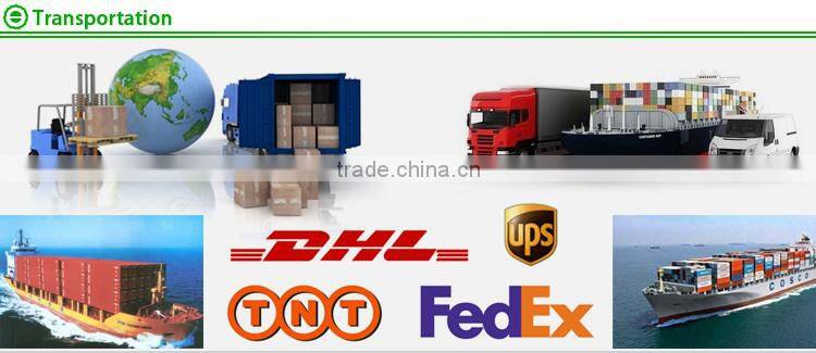 Parrot colorful decoration cake and fruit wooden cocktail picks in bar