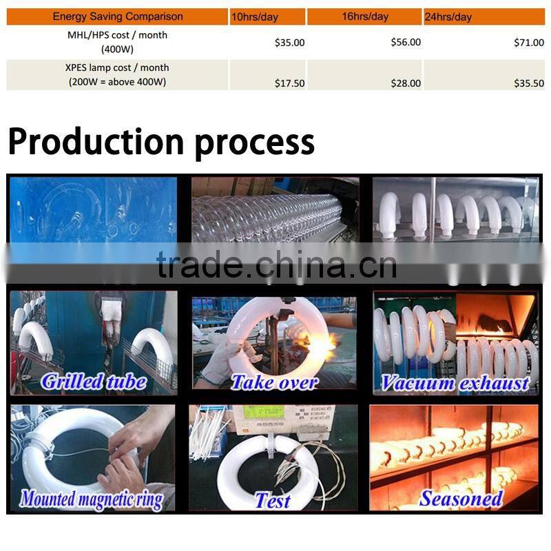 XPES high power 100w high bay induction lighting with 7 years engineering experience
