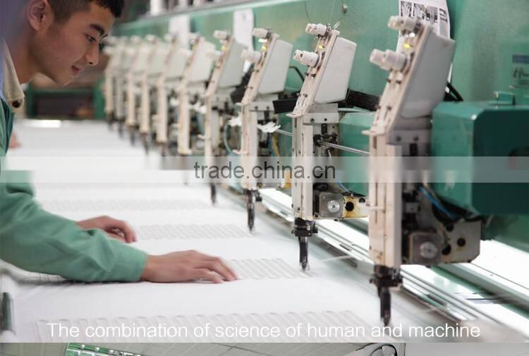 Thermal control type electric hot double electric blanket