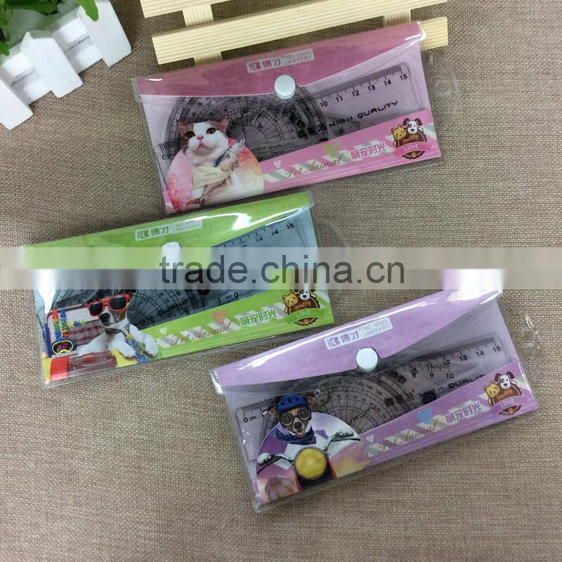 High Qulity Factory Direct Sale Plastic Student ruler set