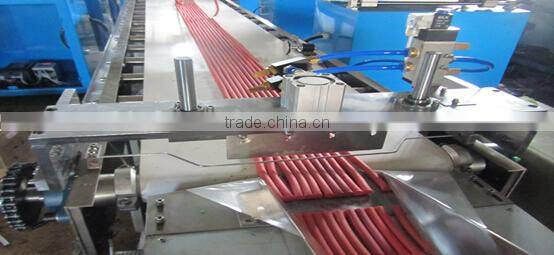 Chewing Gum Packing Machine