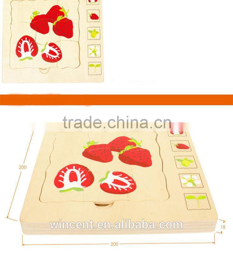 Strawberry Gowth Simple Multiple Layer Wooden Puzzle