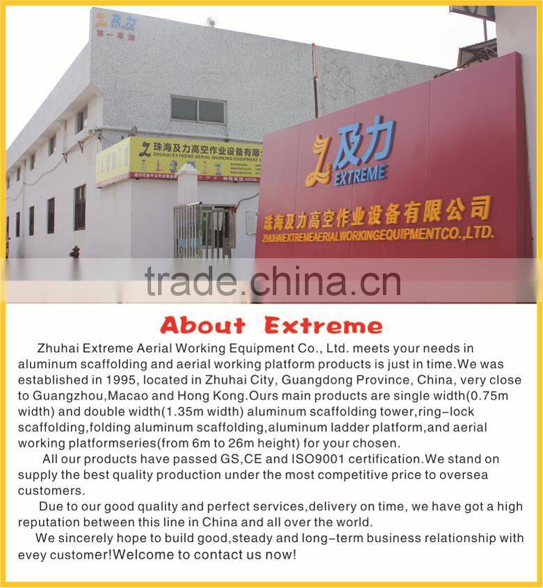 scaffolding system used