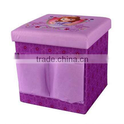 Indoor Collapsible Storage Ottoman With Cushion Top