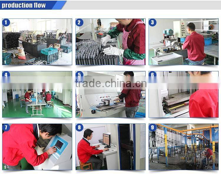 Professional Gas springs/gas struts/gas lift for autos