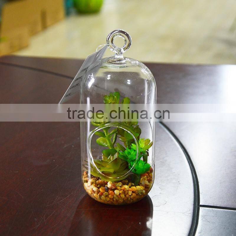 2016 new style Home decor ashtrays indoor glass plant terrarium
