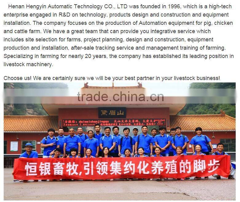 Chicken farm south africa egg layer cages