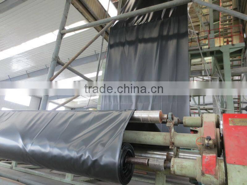 China top standard HDPE geomembrane price
