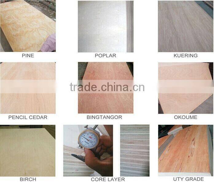 Linyi factory price marine plex brown film faced plywood