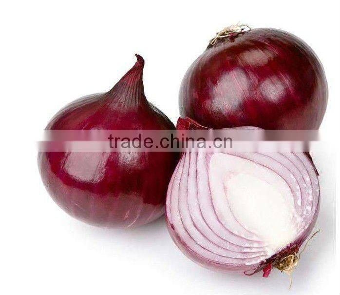2014 cold storage fresh onion (10kg packing )