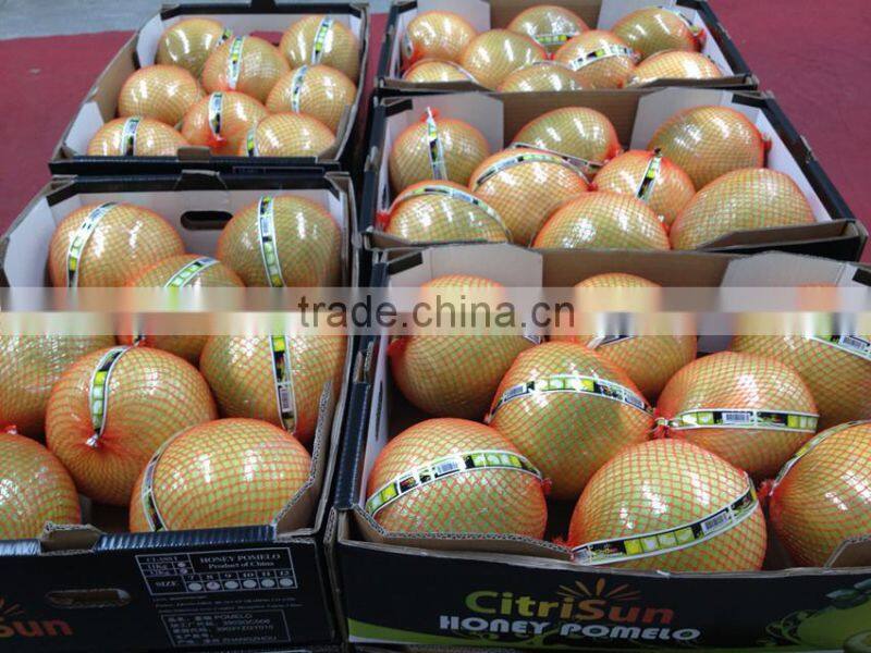 china fresh pomelo