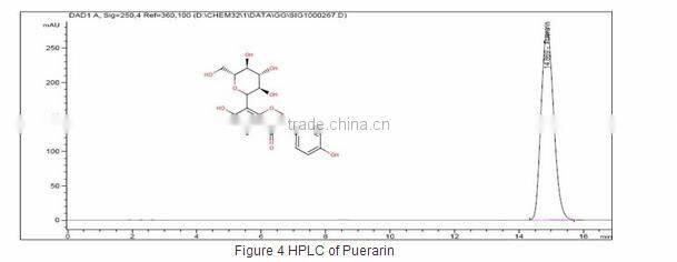 BNP Supply High Quality Radix Puerariae Soft Capsules/Kudzu root Capsules