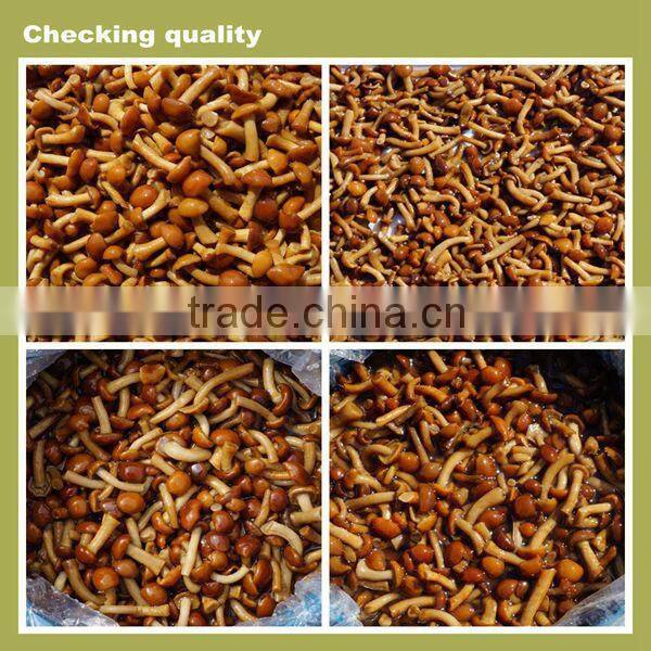 high quality salty flavor slice mushroom