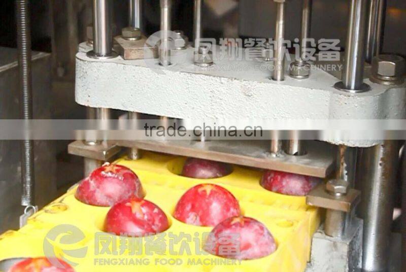 High Quality Plum Stoner, Plum Pitter, Plum Corer with CE certificated
