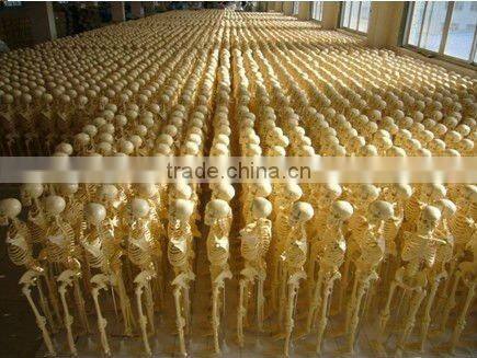 XSZ-107BN-A Biological Microscope 40X-1600X