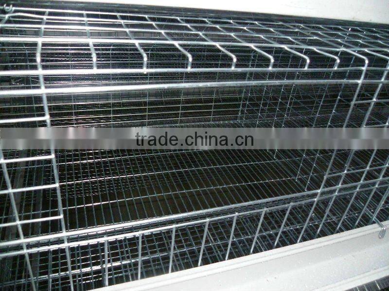broiler chicken cage