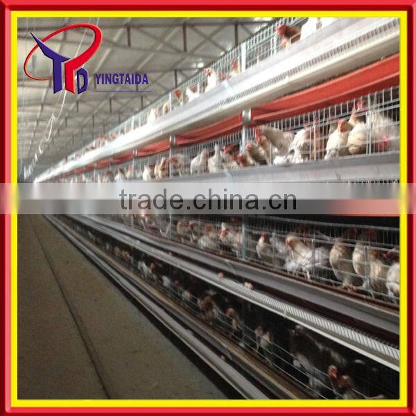High quality design layer chicken cages for Kenya poultry farm ( full poultry equipment)
