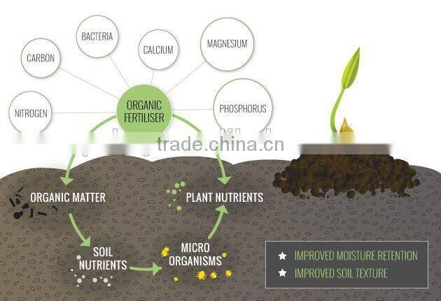 Humic Acid+amino acid organic fertilizer
