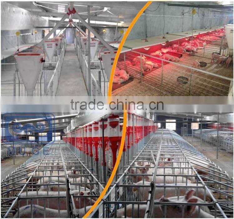 Pig automatic water level controller