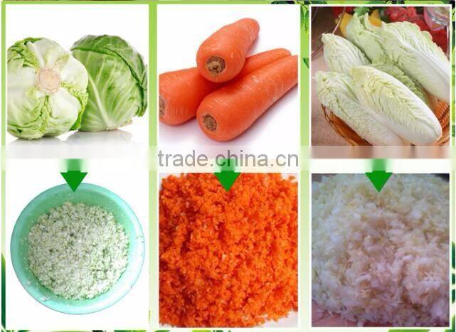 Custom-made commercial fruit and vegetablegrinding machine