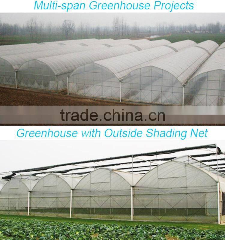 Lowest Price Greenhouse Growing Vegetable