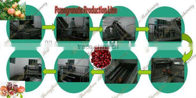 Hot sale pomegranate peeling machine