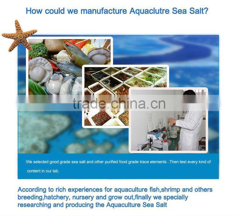 Lobster/shrimp Aquaculture Sea Salt