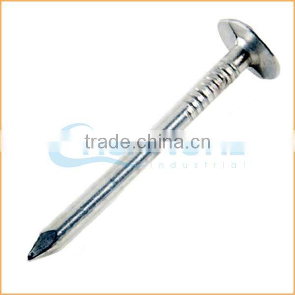 Top quality umbrella head screw rod roofing nails trusted Chuanghe suppliers from alibaba com
