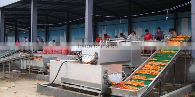 Carrot Washing Peeling Prodcution Line Processing Line