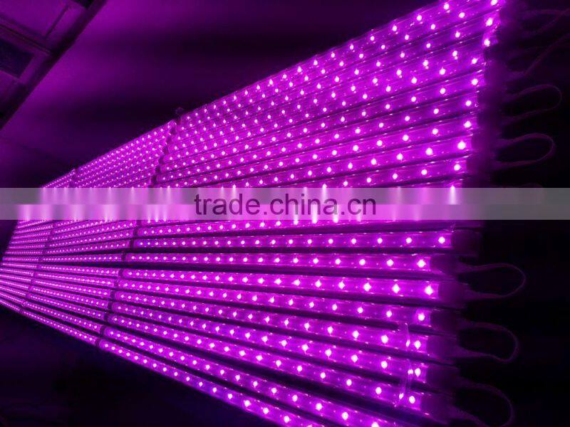10W led grow light tube T8 Bridgelux chip for plant tissue culture labs in multiple color ratio