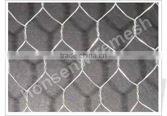 hot sale Hexagonal wire netting