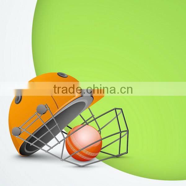 Best selling new products 2017 low price custom logo natural wood tennis ball cricket bat wholesale made in china