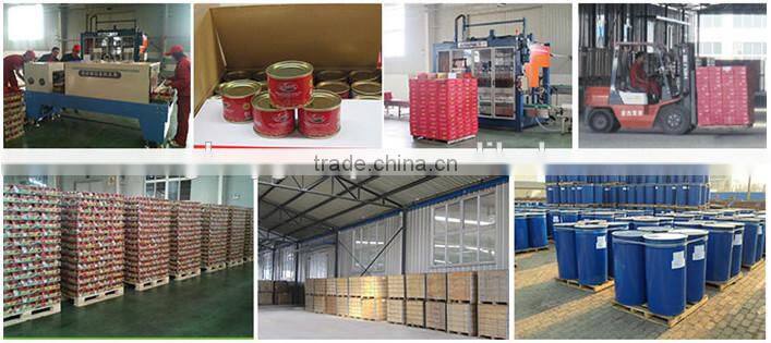 Hot sell good quality tomato ketchup (tomato paste manufacture)