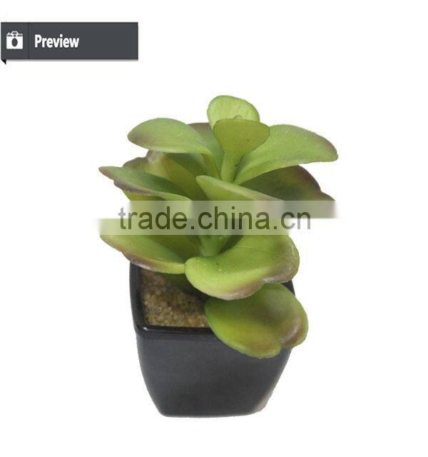 Customized design sweet desert rose for table decoration