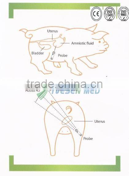Hot sale sow and goat pregnancy check potable pregnancy scanners